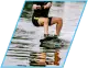 Person water skiing
