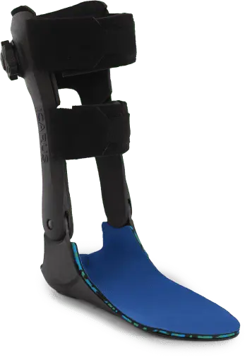 Hermes ankle brace