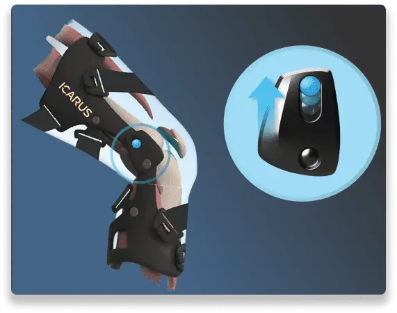 Adonis knee brace graphics