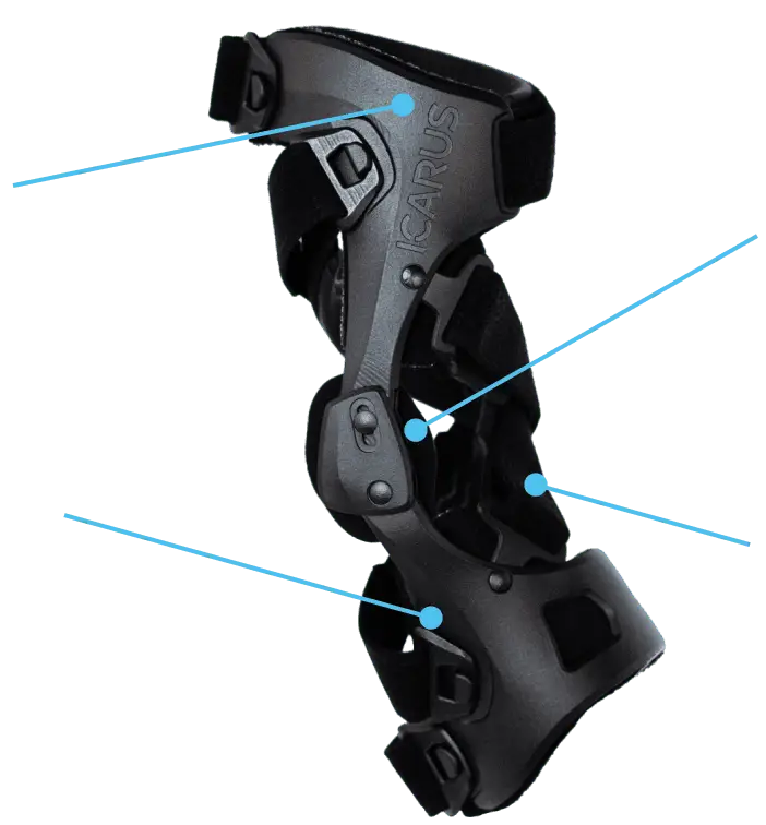 Adonis brace