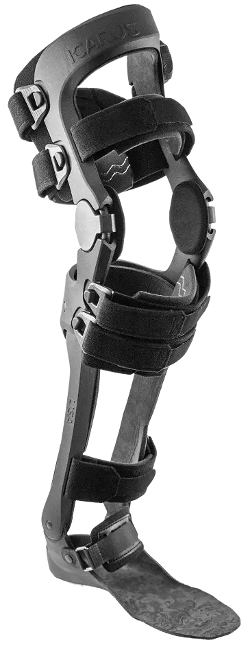 Zeus brace
