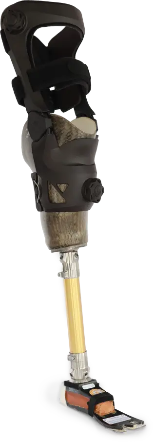 Pegasus brace for amputees