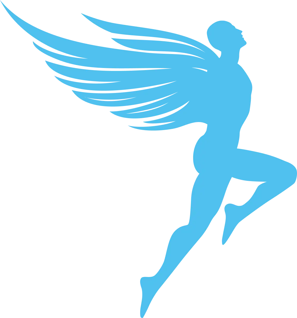 Icarus icon