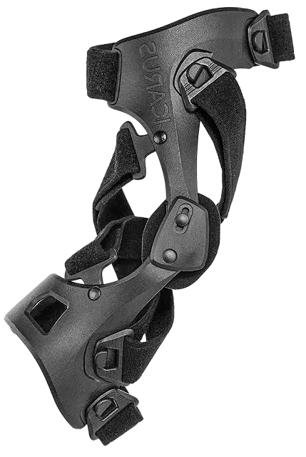 Adonis brace